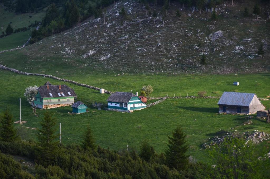 Cheile Gradistei Fundata Resort Exteriör bild